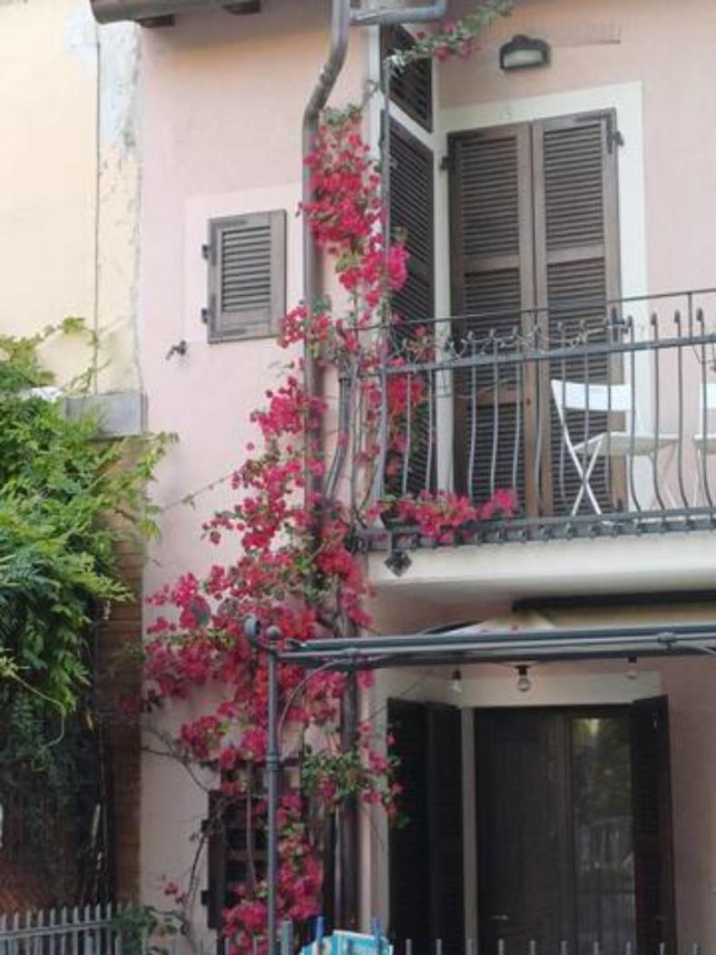 Bouganville House Senigallia Buitenkant foto